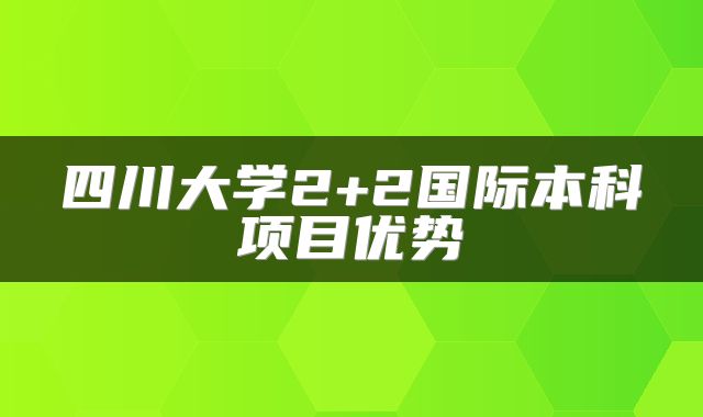 四川大学2+2国际本科项目优势