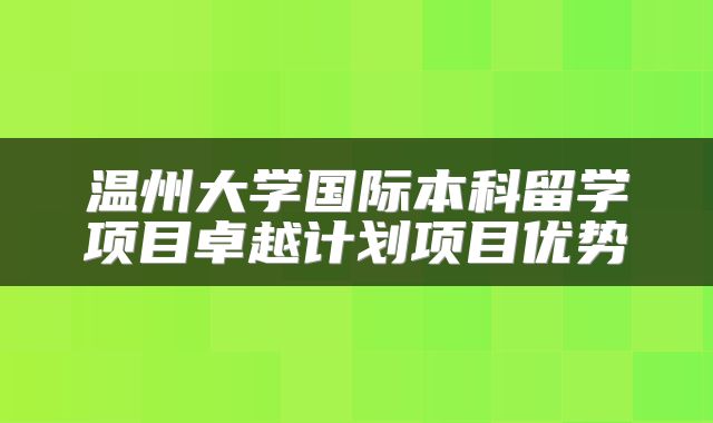 温州大学国际本科留学项目卓越计划项目优势