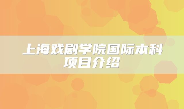 上海戏剧学院国际本科项目介绍