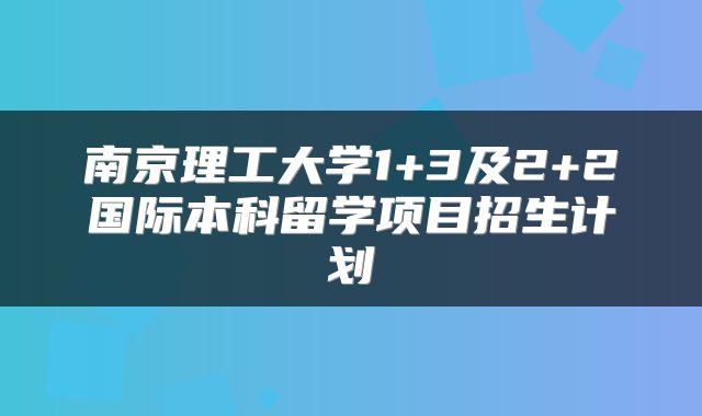 南京理工大学1+3及2+2国际本科留学项目招生计划