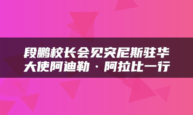 段鹏校长会见突尼斯驻华大使阿迪勒·阿拉比一行