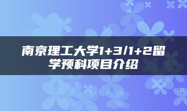 南京理工大学1+3/1+2留学预科项目介绍