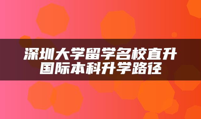 深圳大学留学名校直升国际本科升学路径