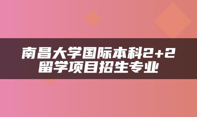 南昌大学国际本科2+2留学项目招生专业
