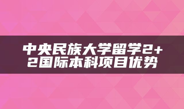 中央民族大学留学2+2国际本科项目优势