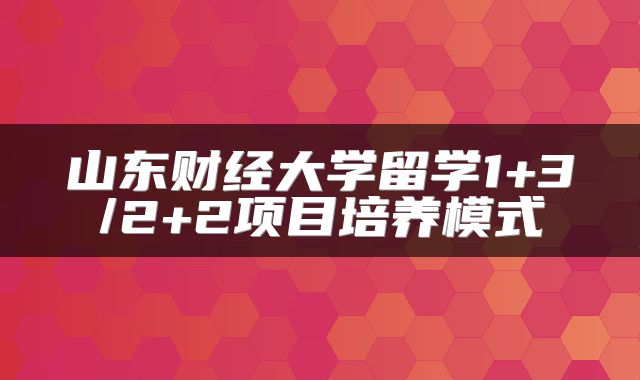 山东财经大学留学1+3/2+2项目培养模式