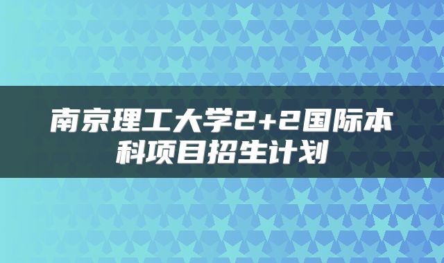 南京理工大学2+2国际本科项目招生计划