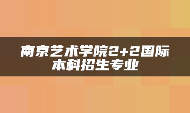 南京艺术学院2+2国际本科招生专业