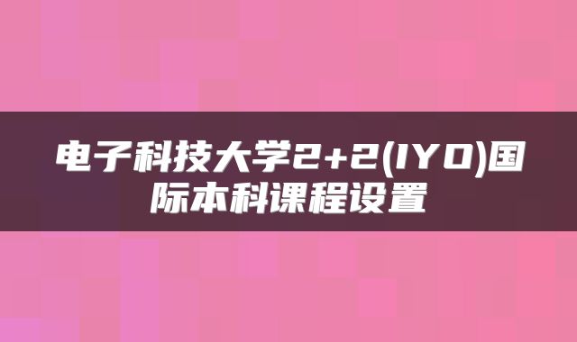 电子科技大学2+2(IYO)国际本科课程设置