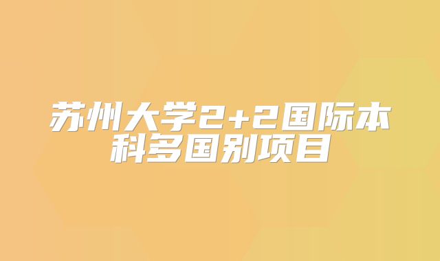 苏州大学2+2国际本科多国别项目