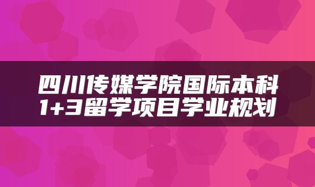 四川传媒学院国际本科1+3留学项目学业规划
