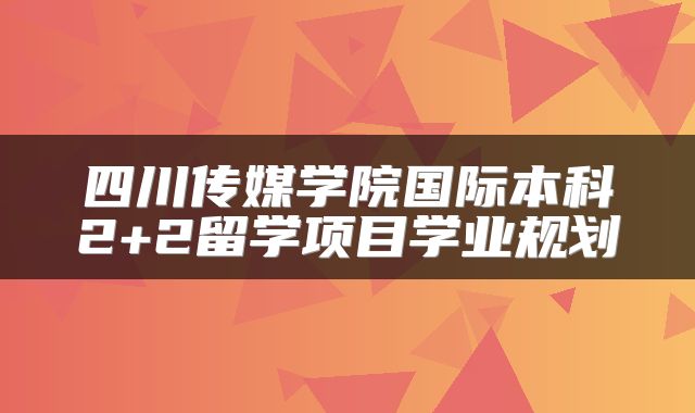 四川传媒学院国际本科2+2留学项目学业规划