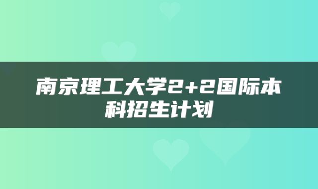 南京理工大学2+2国际本科招生计划