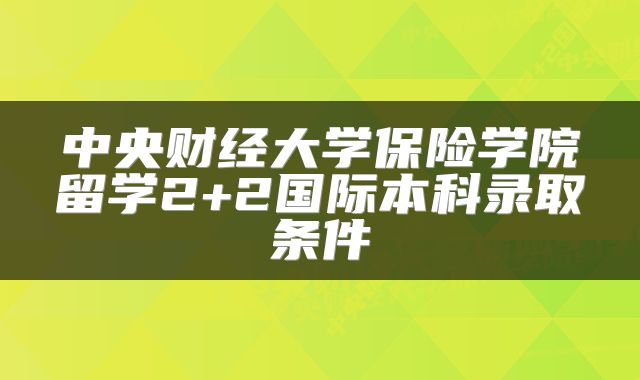 中央财经大学保险学院留学2+2国际本科录取条件