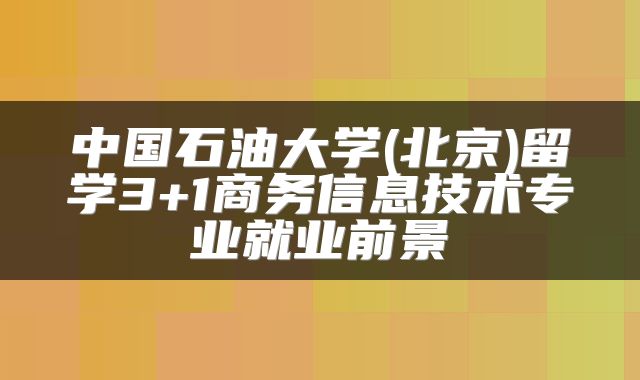 中国石油大学(北京)留学3+1商务信息技术专业就业前景
