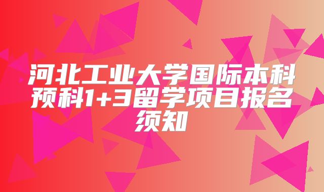 河北工业大学国际本科预科1+3留学项目报名须知
