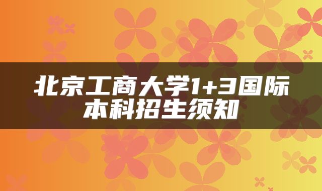 北京工商大学1+3国际本科招生须知