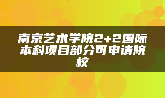 南京艺术学院2+2国际本科项目部分可申请院校