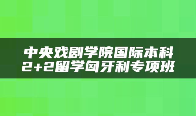 中央戏剧学院国际本科2+2留学匈牙利专项班